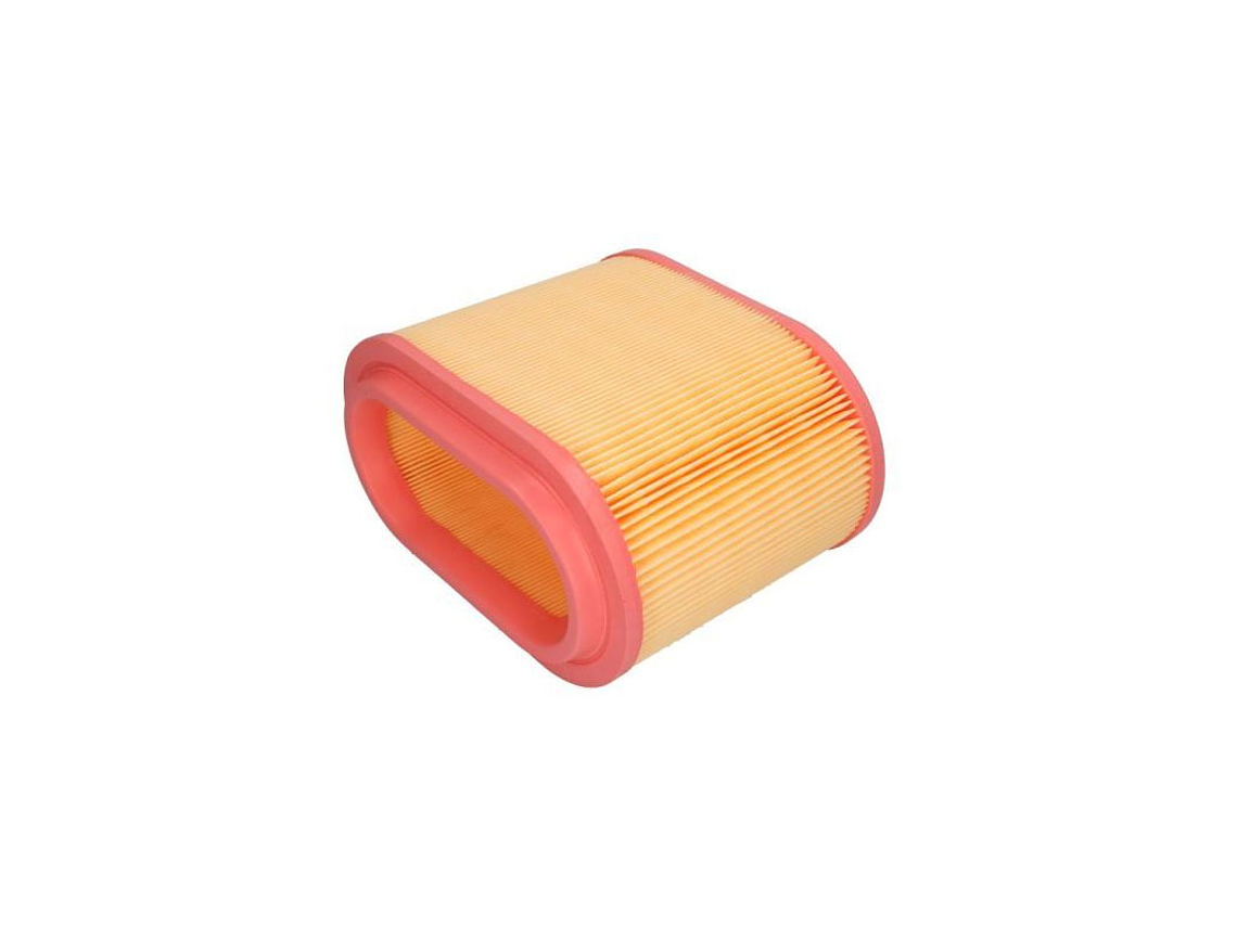  Filtro Aire C24196 Marca Mann 1