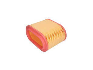  Filtro Aire C24196 Marca Mann