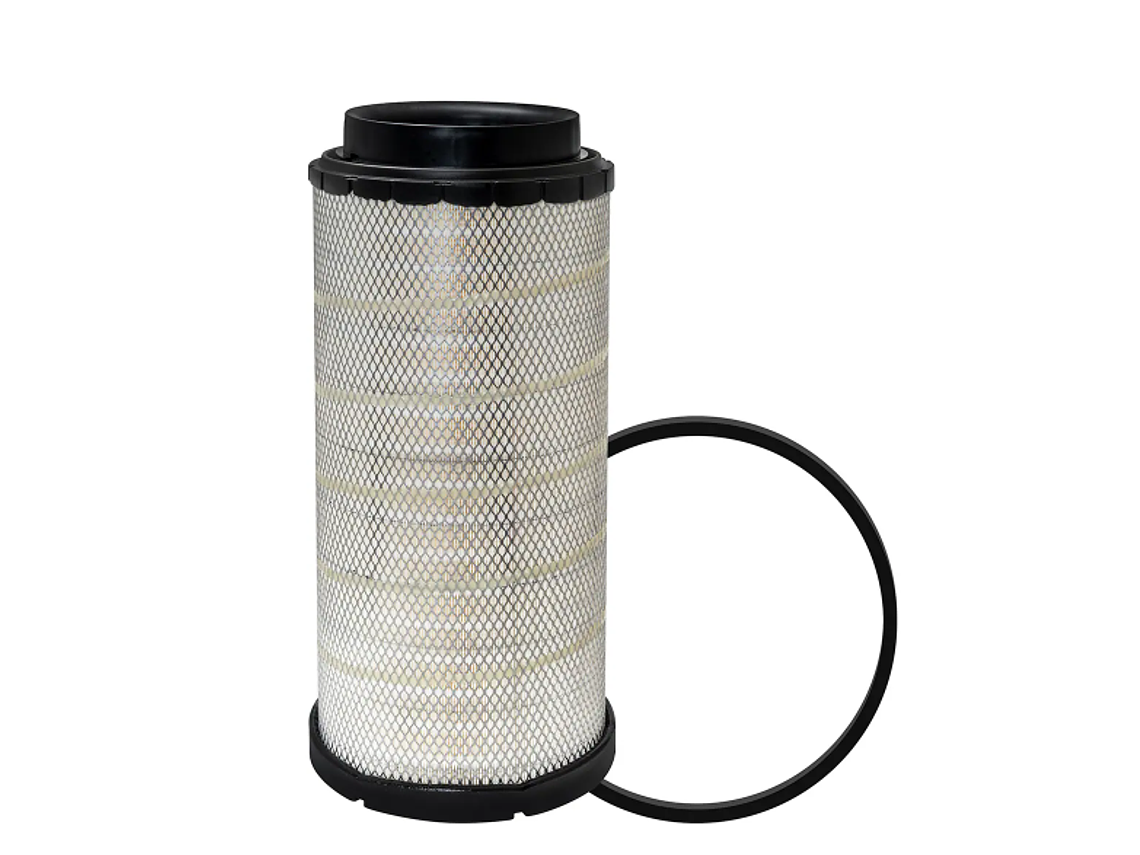 Rs5288      Filtro Aire Std Version  1