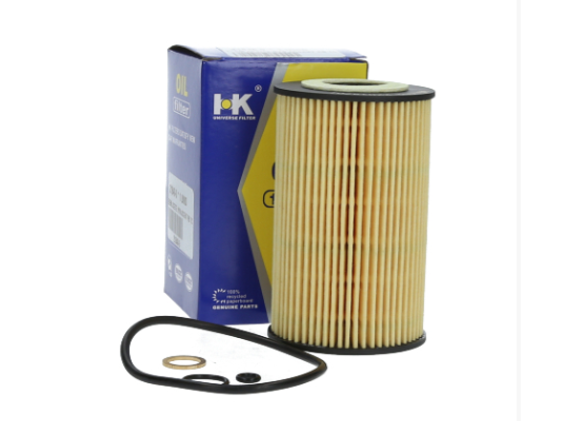21848-0      Elemento Filtro Aceite HK 1