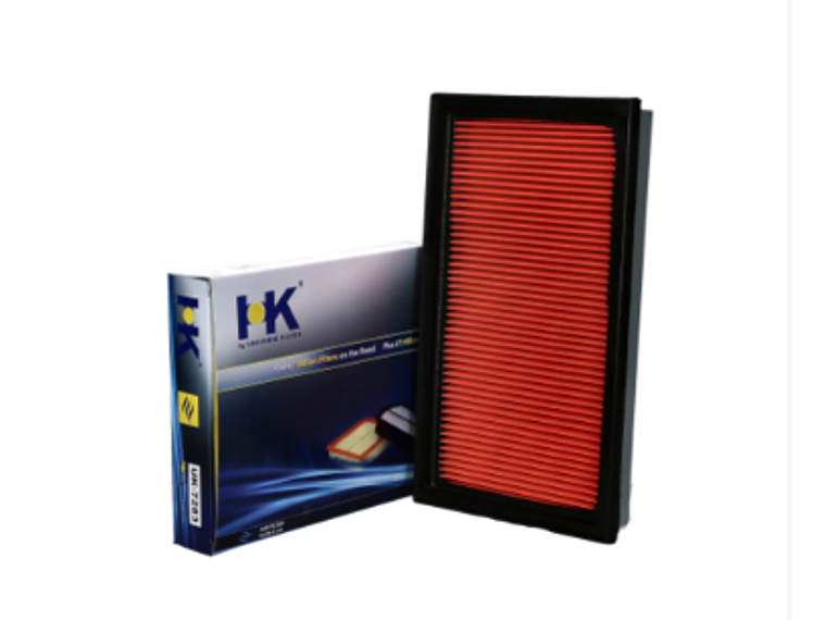 24051-6      Filtro de Aire HK 1