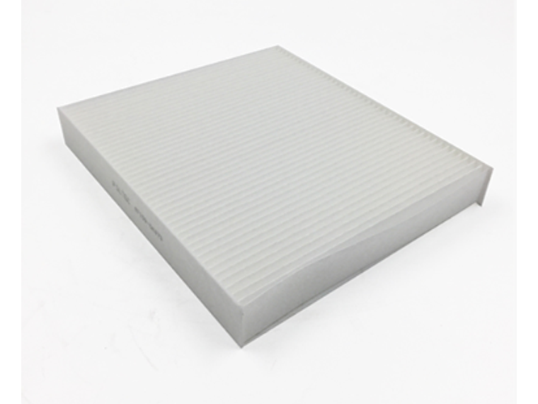 21613-5      Filtro de Polen filtec 1