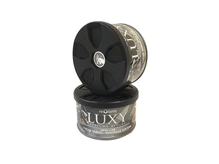 100049     AUTO NUEVO  1