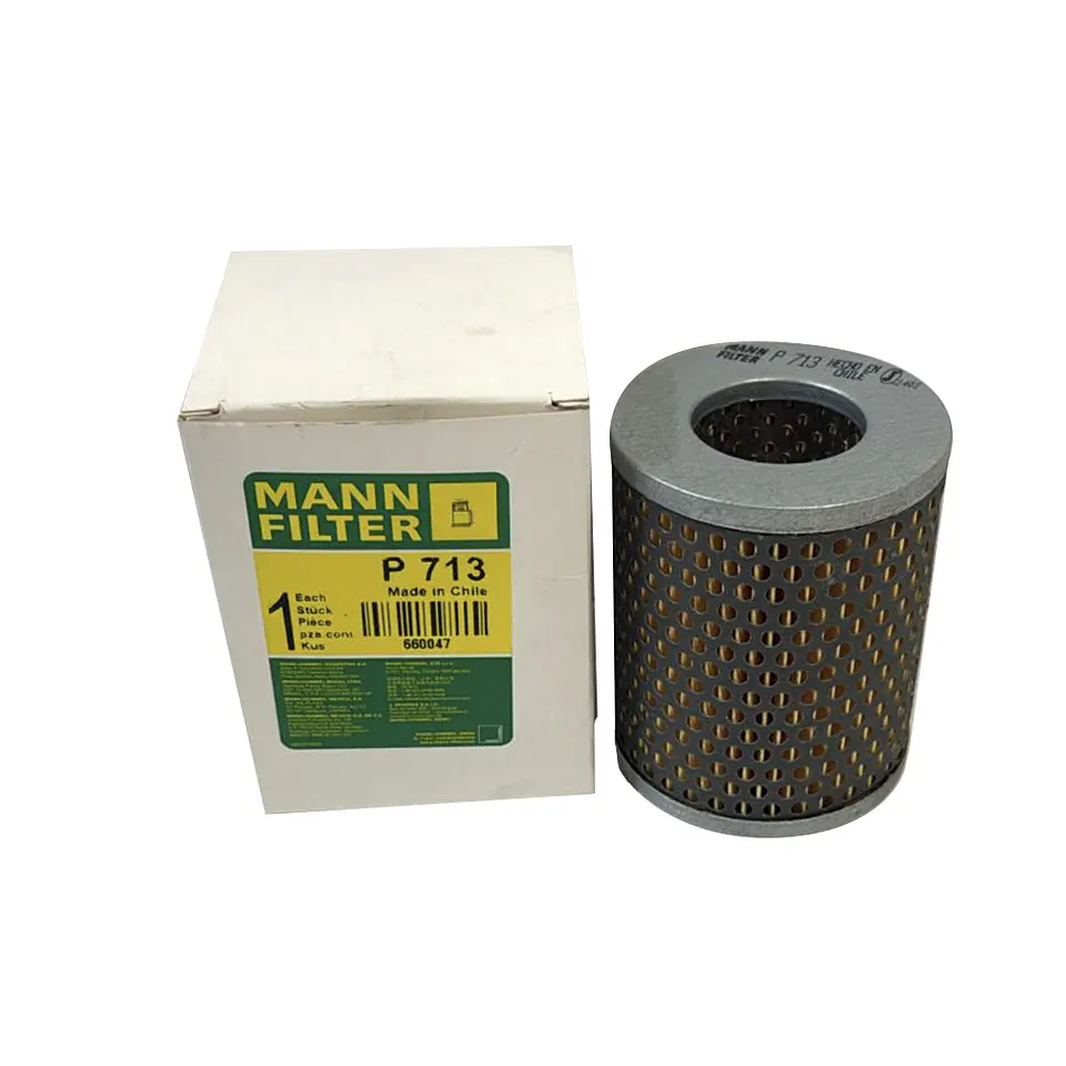 P713      FILTRO COMBUSTIBLE  1
