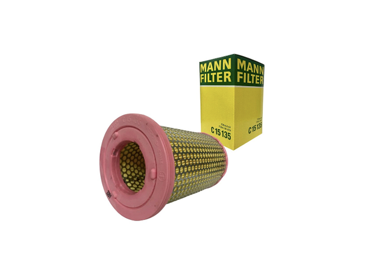 C15135      FILTRO AIRE  1