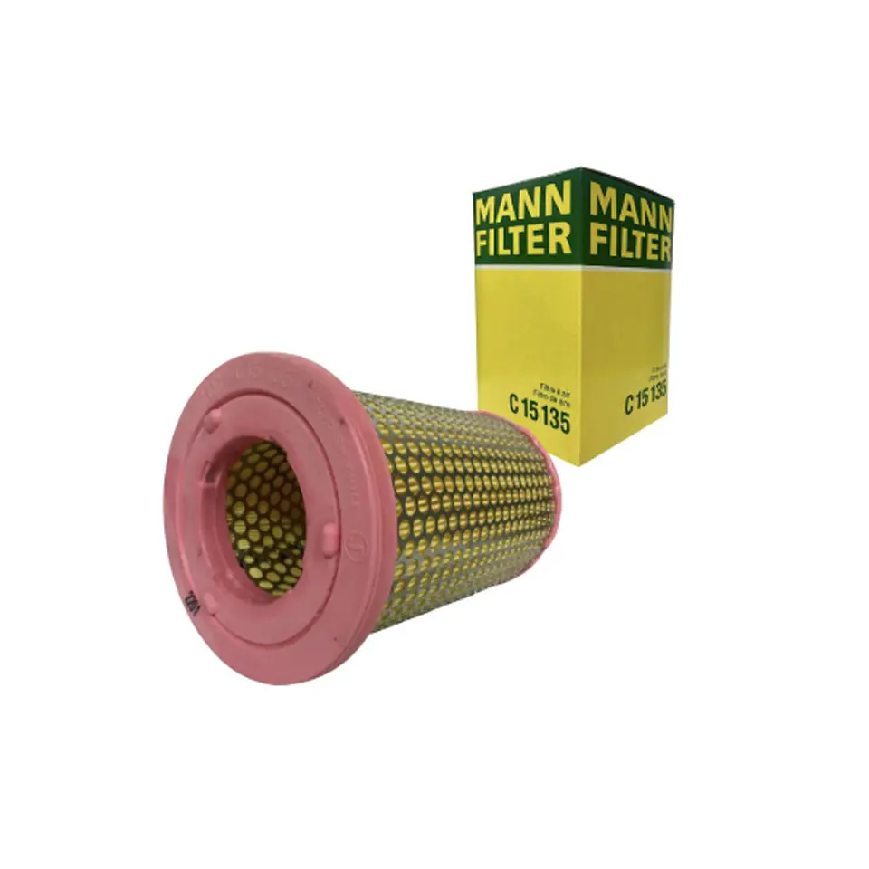 C15135      FILTRO AIRE  1