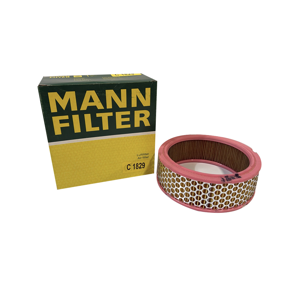 C1829 FILTRO DE AIRE