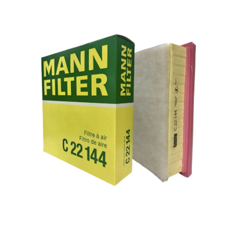 C22144      FILTRO AIRE  1