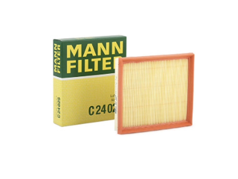 C24025      FILTRO AIRE  1