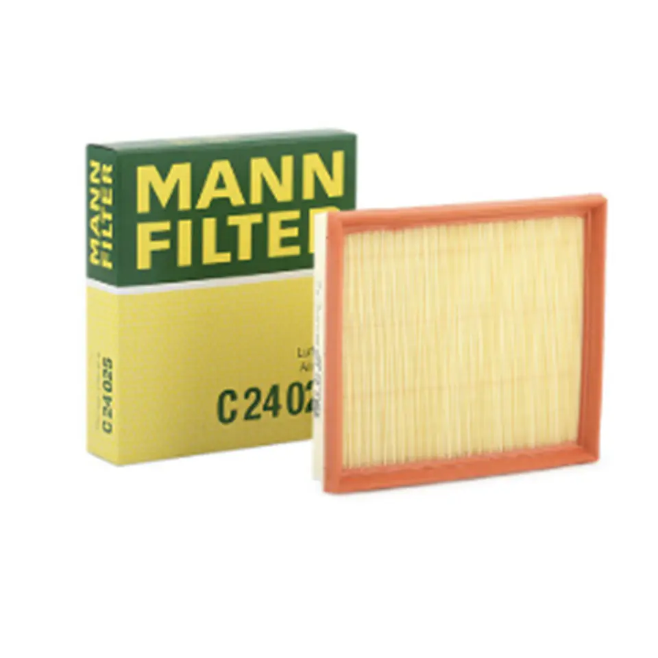 C24025      FILTRO AIRE  1