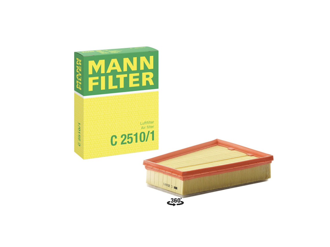 C2510/1      FILTRO AIRE  1