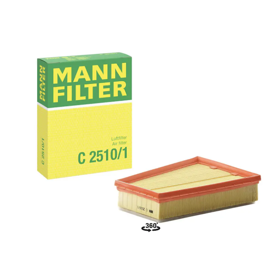 C2510/1      FILTRO AIRE  1