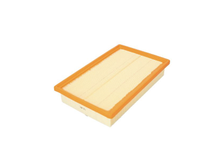 C2699      FILTRO AIRE  1