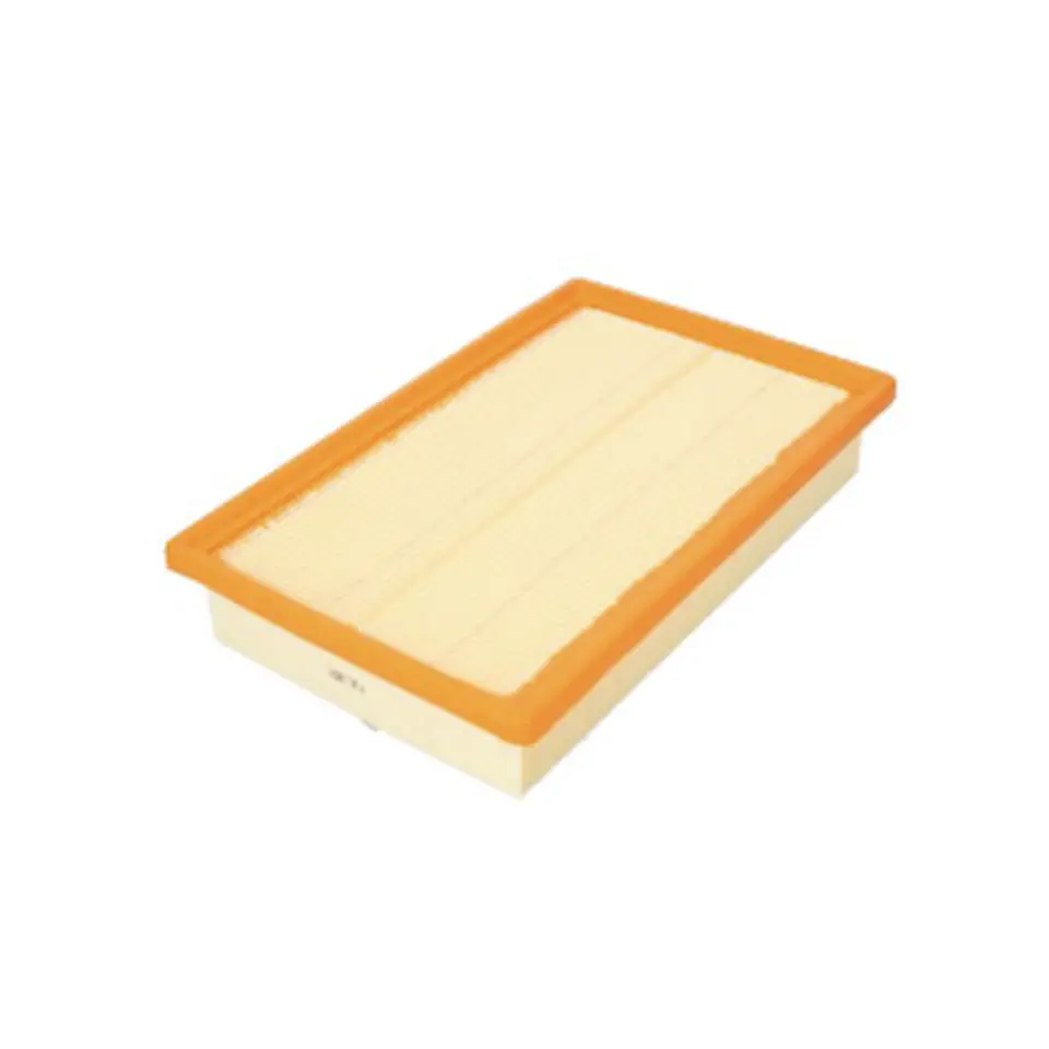 C2699      FILTRO AIRE  1