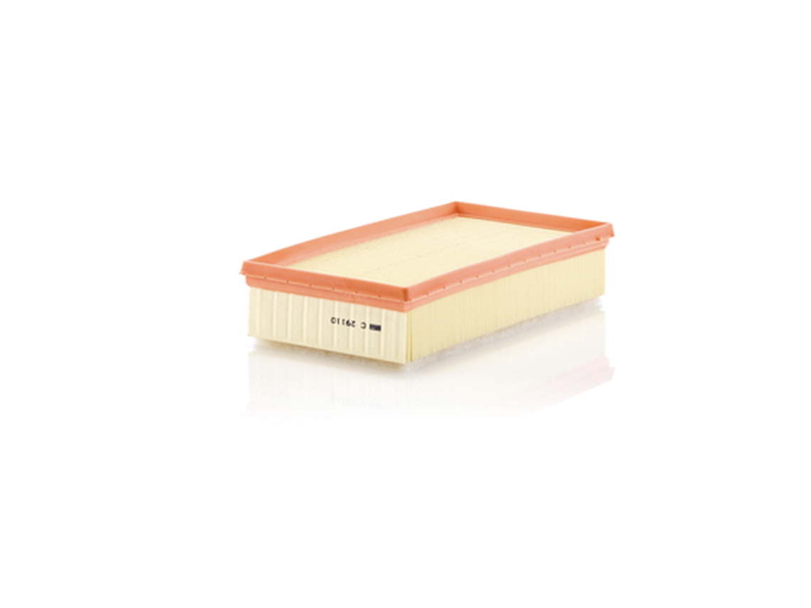 C29110      FILTRO AIRE  1