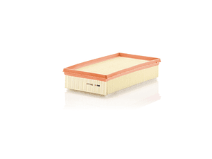 C29110      FILTRO AIRE 