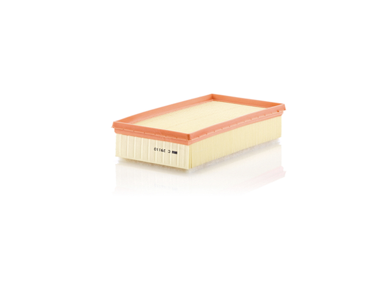 C29110      FILTRO AIRE  1