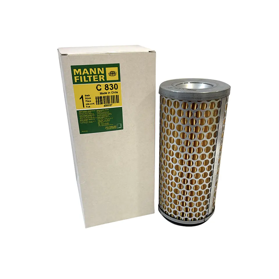 C830      FILTRO AIRE  1