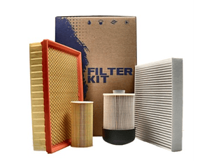 Nissan / NP300 / 2.5 / 2016-2025 / Gasolina