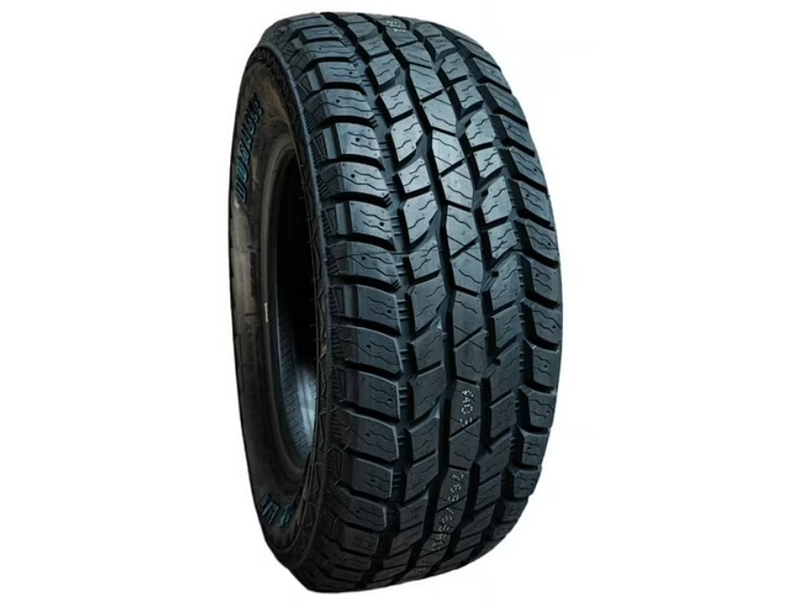 Neumatico 245/65 R17  1
