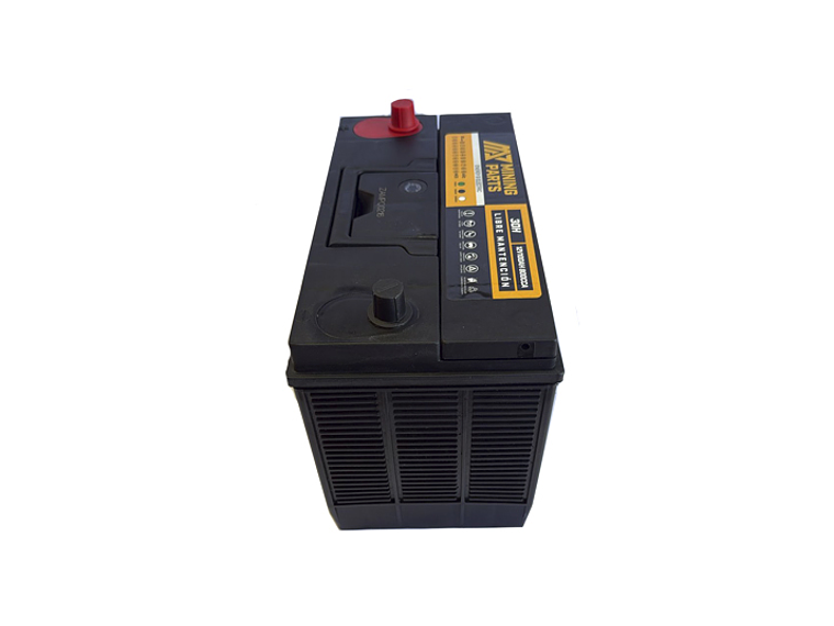 BATERIA 12V 100 AH 800 CCA BORNE CENTRADO POSITIVO IZQUIERDO 2