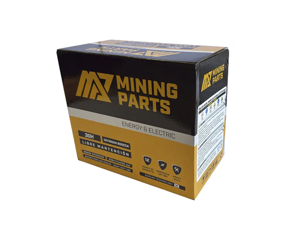 BATERIA 12V 100 AH 800 CCA BORNE CENTRADO POSITIVO IZQUIERDO 4