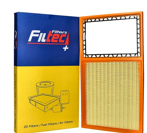 Filtro de Aire(10334315)