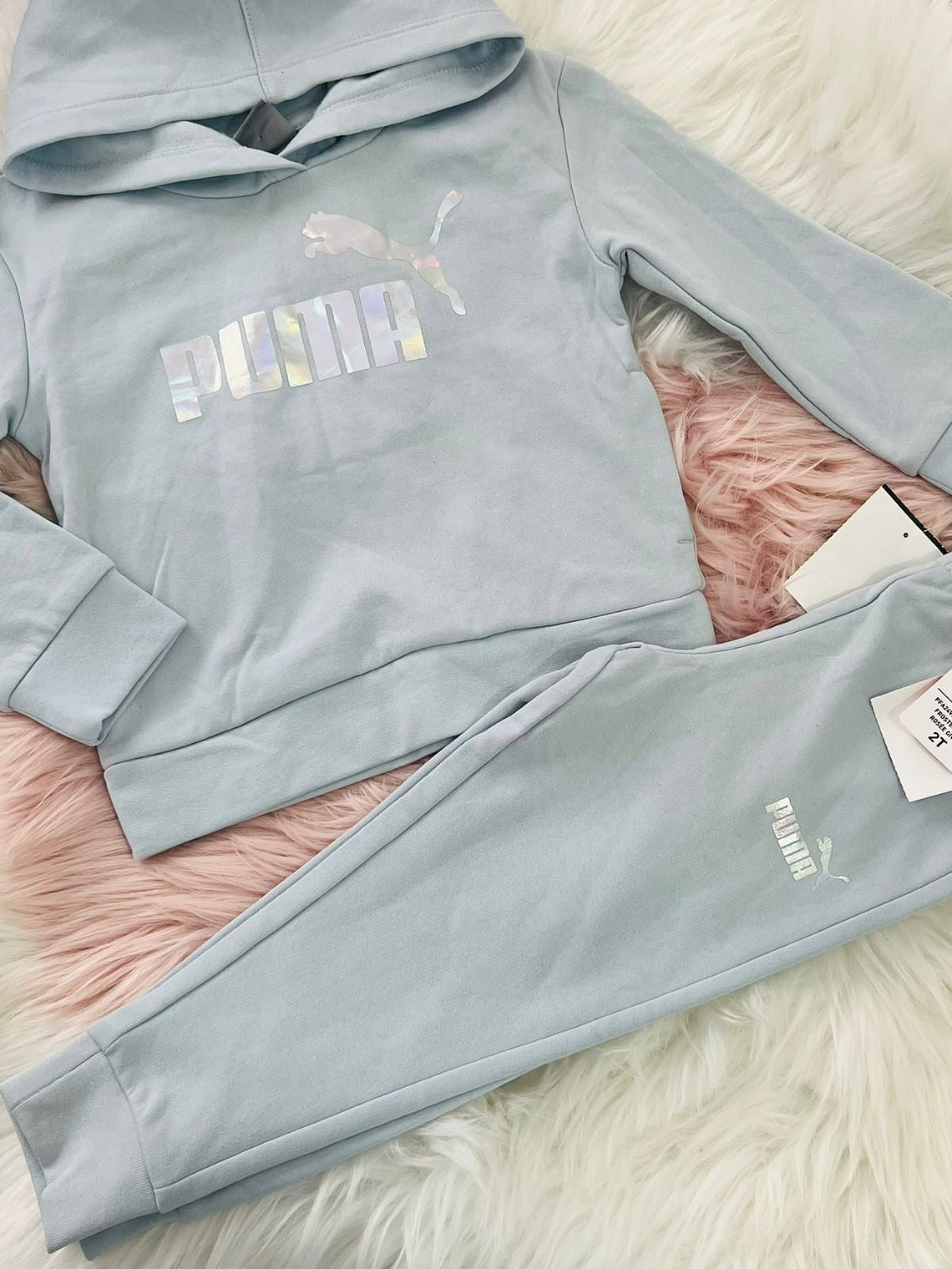 Conjunto Buzo Puma - T2 1