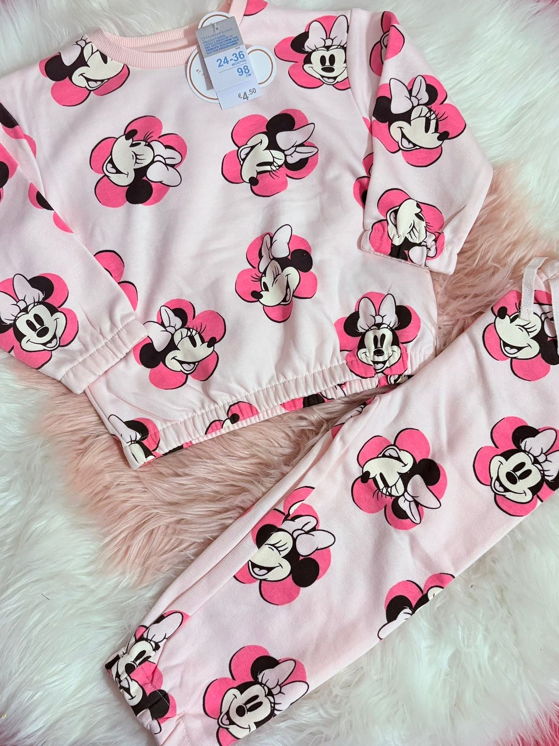 Conjunto Minnie - T24/36M 1