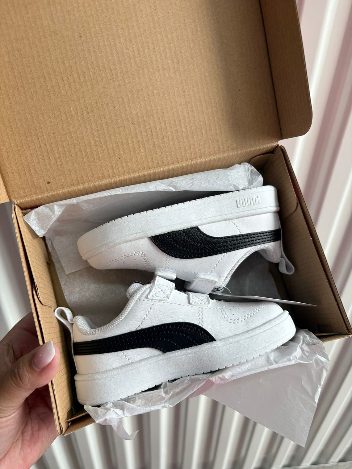 Puma Clasicas - T23 1
