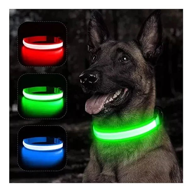 Collar led perros y gatos 1