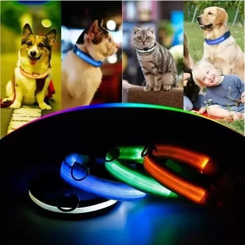 Collar led perros y gatos 2