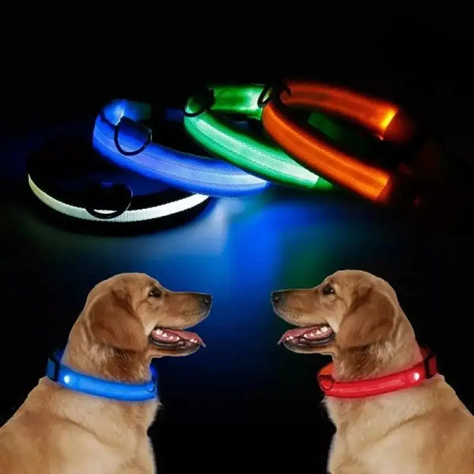 Collar led perros y gatos 3