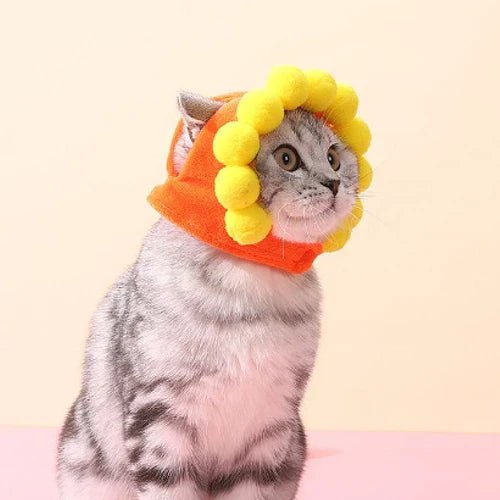 Gorro para mascotas divertido 1