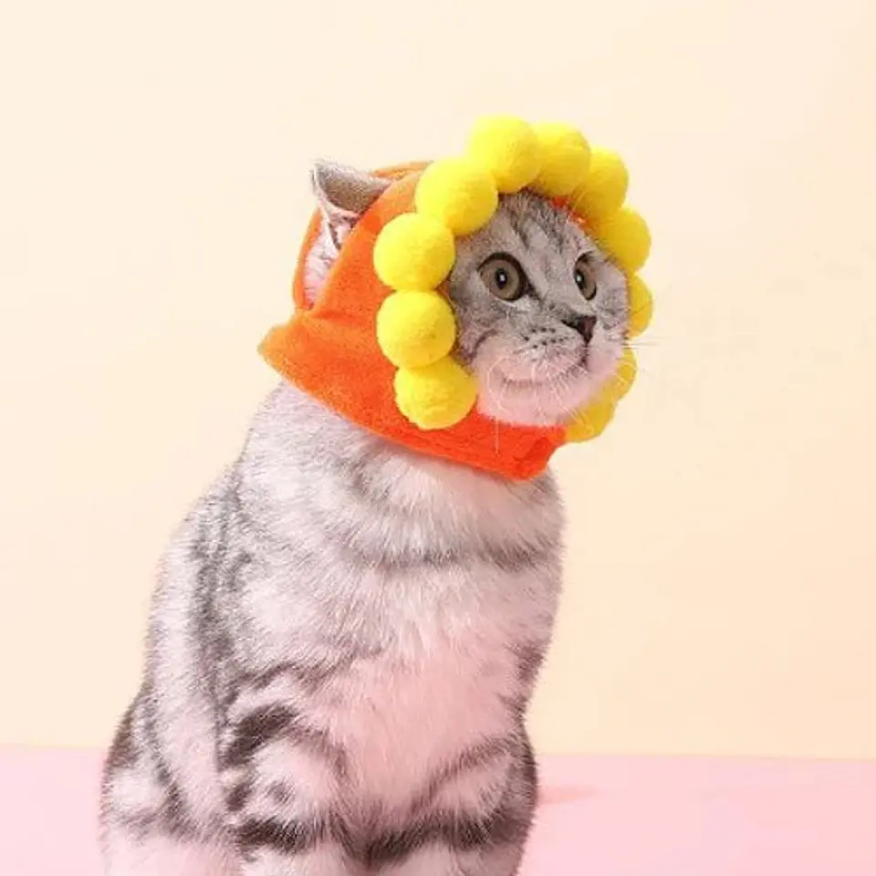 Gorro para mascotas divertido 1