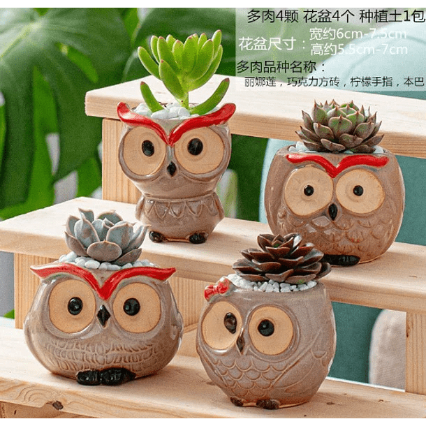 Macetero de buho de ceramica 1