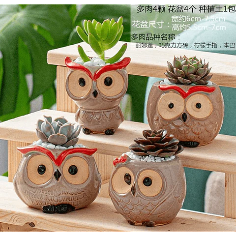 Macetero de buho de ceramica