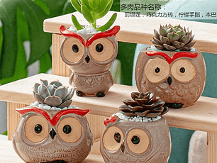 Macetero de buho de ceramica