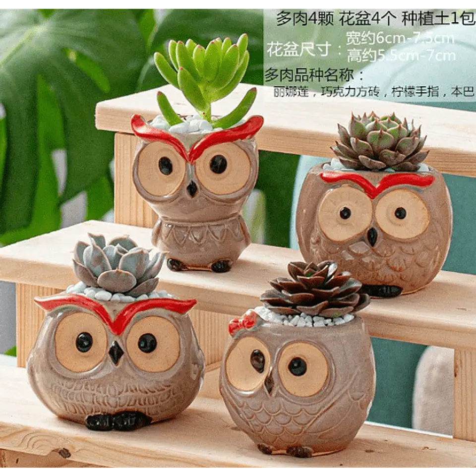 Macetero de buho de ceramica 1