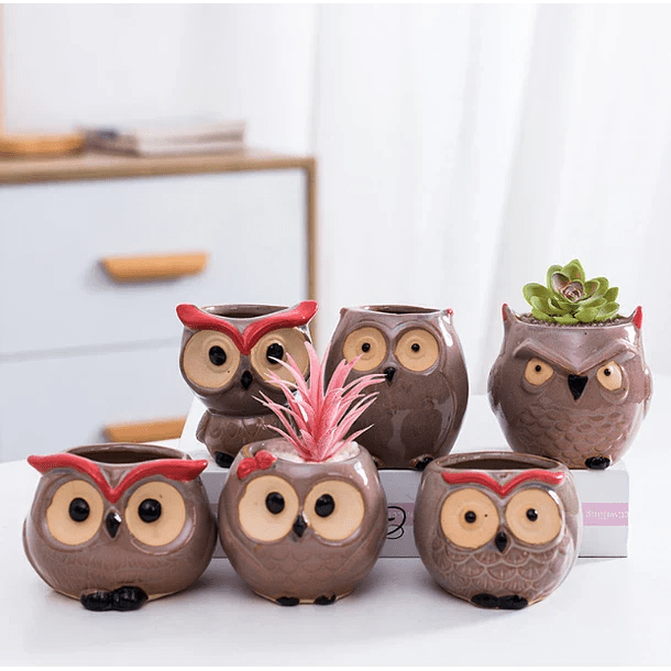 Macetero de buho de ceramica 2