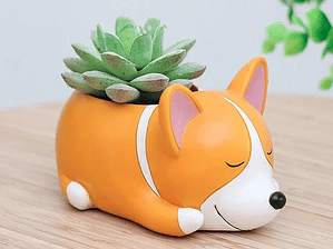 Mini macetero para suculentas