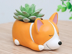 Mini macetero para suculentas