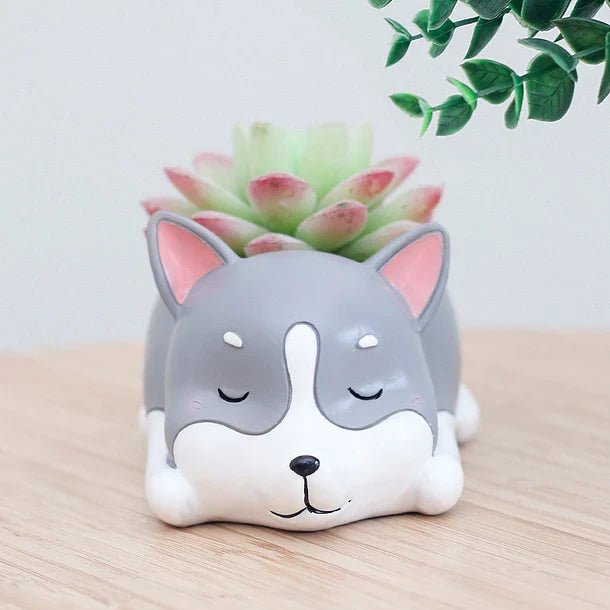 Mini macetero para suculentas 2