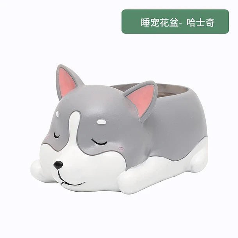 Mini macetero para suculentas 3