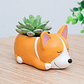 Mini macetero para suculentas - Miniatura 1