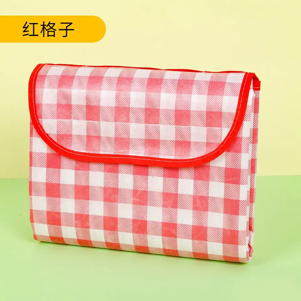 Manta picnic 1