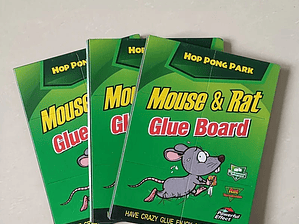 Pagatina Atrapa Ratones