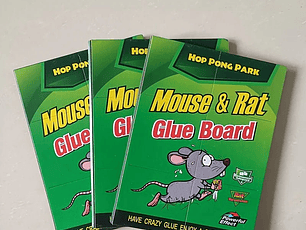 Pagatina Atrapa Ratones