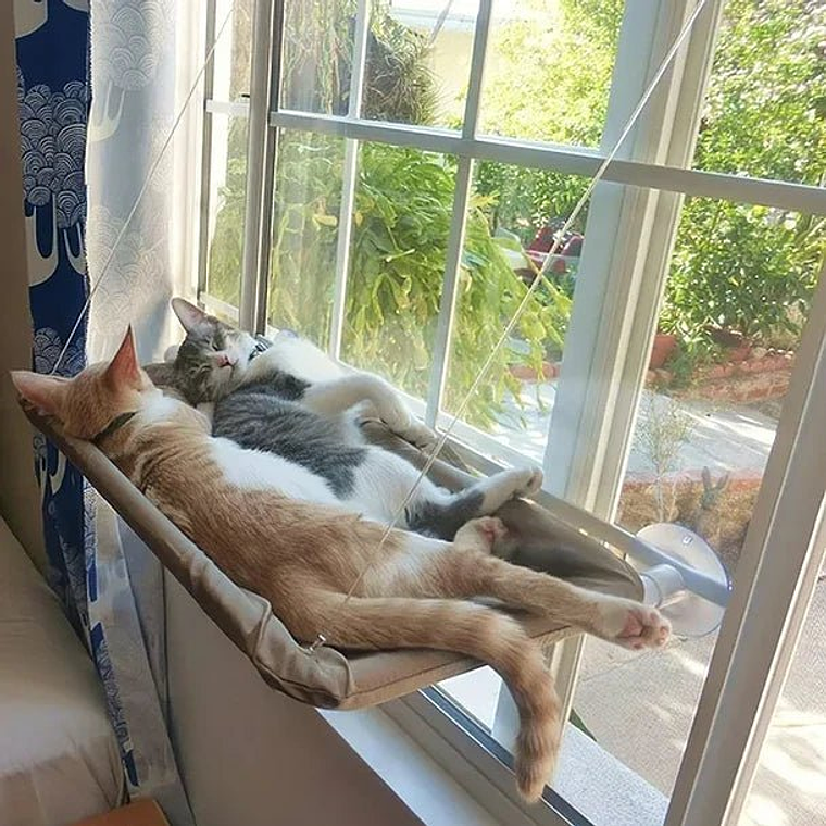 Cama para gatos en ventana 1