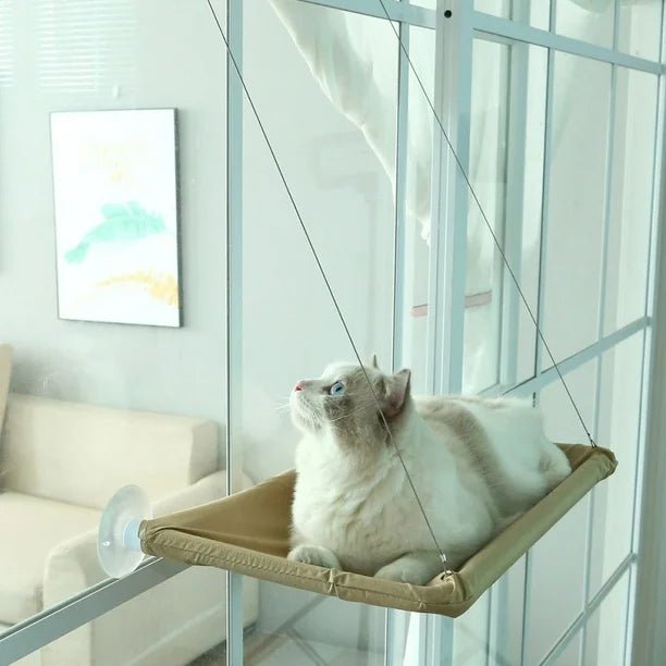 Cama para gatos en ventana 2